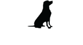 black lab brewey
